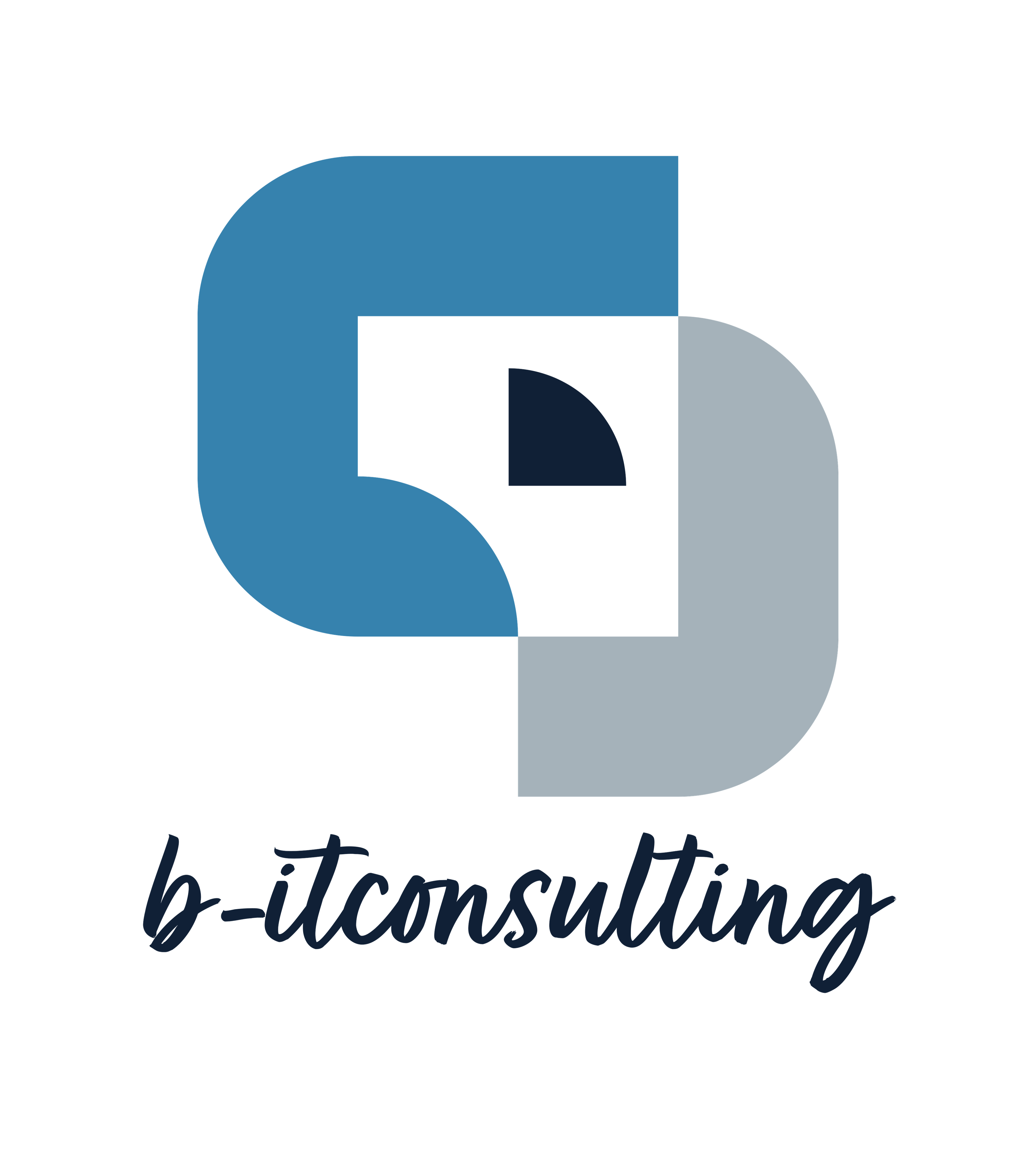 B-IT Consulting